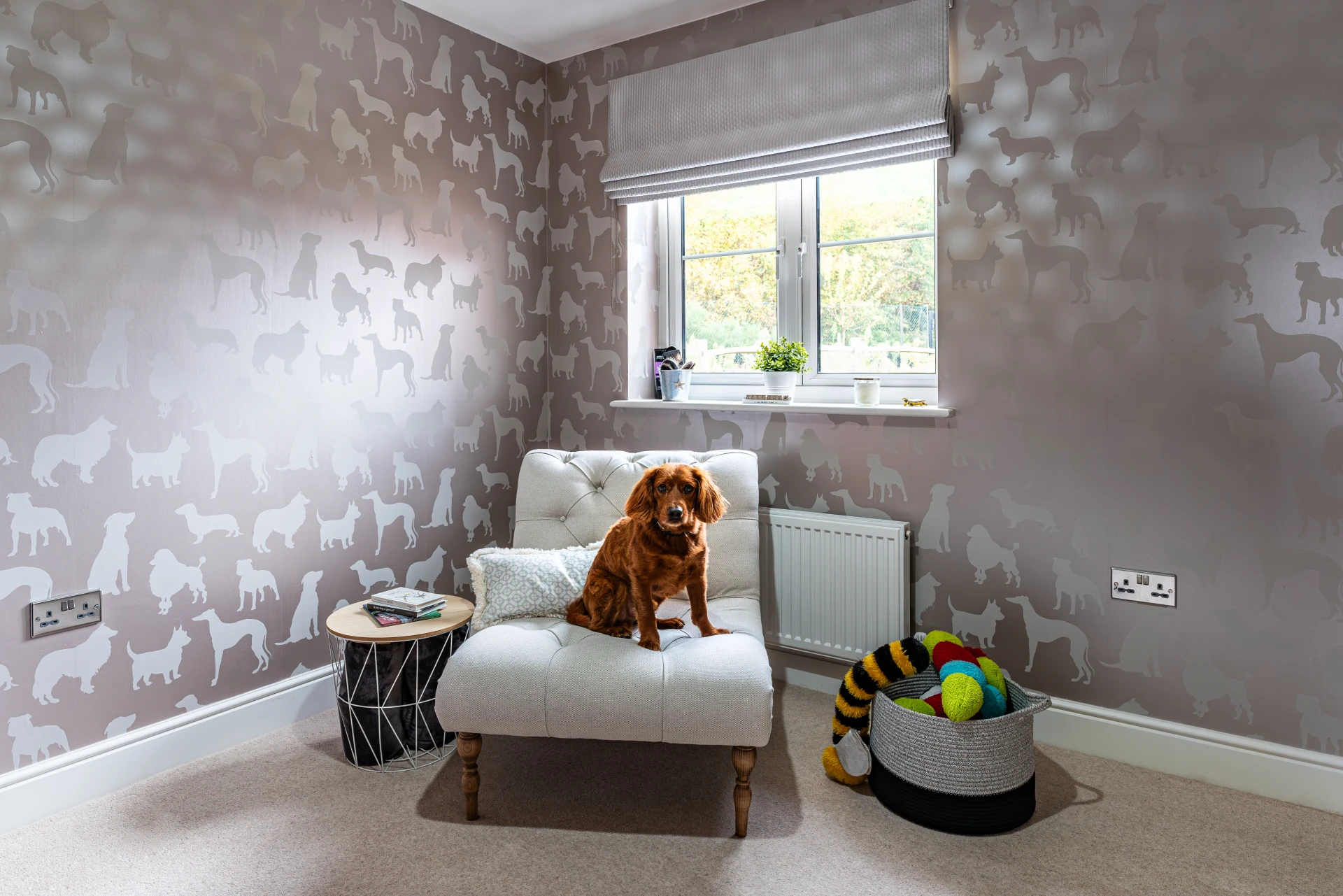 new-build-hampshire-dog-bedroom